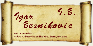 Igor Besniković vizit kartica